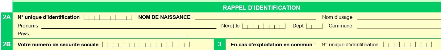 Comment remplir le formulaire P2P4 i ? Cadre 2A et 2A et 3