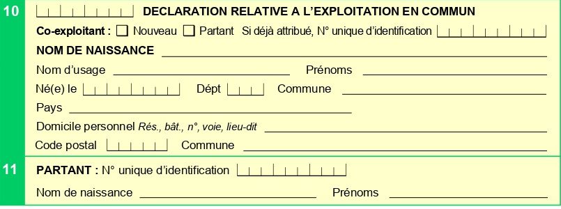 Comment remplir le formulaire P2P4 i ? cadre 10 et 11