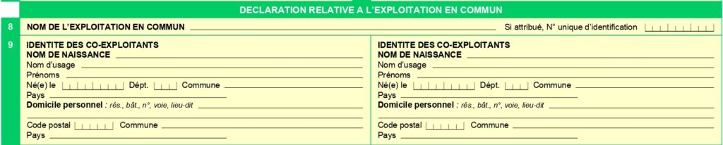 Formulaire p0i cadre 8-9